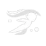 Neuvillette_Passiva_Exploracao_Nadar